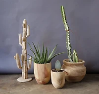 Hello Honey® Rounded Paulownia Wood Pots Set