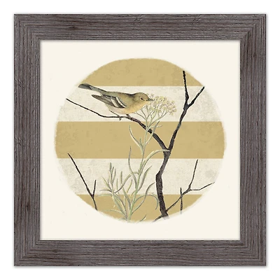 Framed Western Vintage Bird & Stripes Print