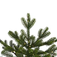 7.5ft. Pre-Lit Oregon Noble Fir Artificial Christmas Tree,  Warm White LED Lights