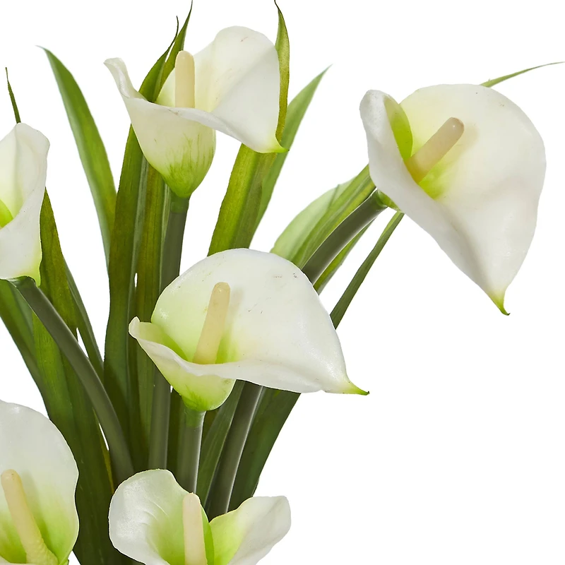 15.5" Calla Lily Arrangement in Clear Glass Vase