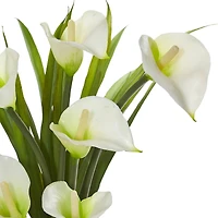 15.5" Calla Lily Arrangement in Clear Glass Vase