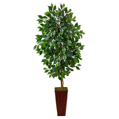 5ft. Ficus Tree in Bamboo Planter