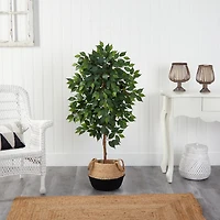 4ft. Ficus Artificial Tree in Boho Chic Handmade Cotton & Jute Woven Planter