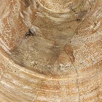 Hello Honey® 18" Whitewashed Reclaimed Wood Pot Table Lamp with Cotton Shade