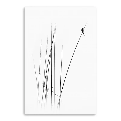 Swapnil – A Sabbatical Canvas Giclee