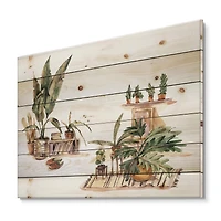 Designart - Indoor House Plants Urban Jungle III