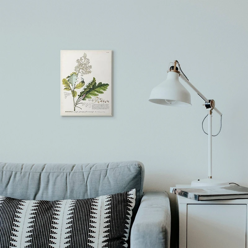 Stupell Industries Botanical Plant Bocconia Illustration Wall Art Plaque