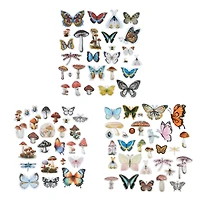 Nature Ephemera by Recollections™