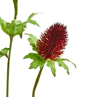 Red Thistle Spray, 12ct.