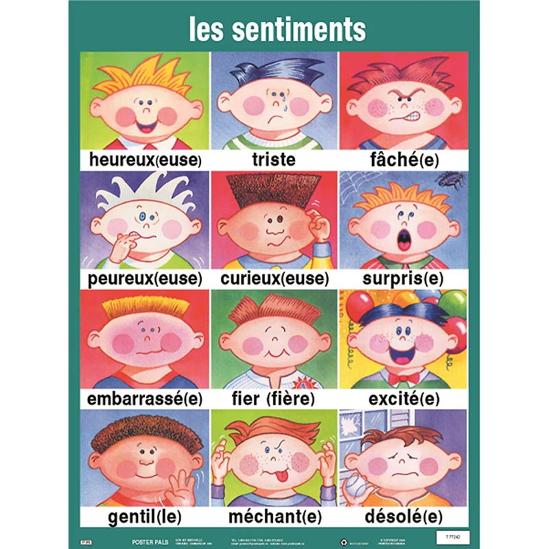 Poster Pals® French Essential Classroom Posters
