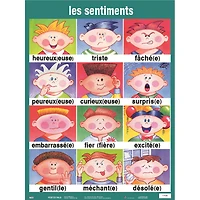 Poster Pals® French Essential Classroom Posters
