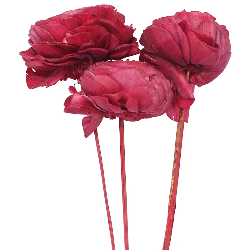 20" Pink Cabbage Rose Sola Flowers, 3ct. by Ashland®