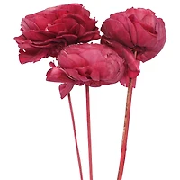 20" Pink Cabbage Rose Sola Flowers, 3ct. by Ashland®