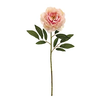 Rose Cream Peony Stem