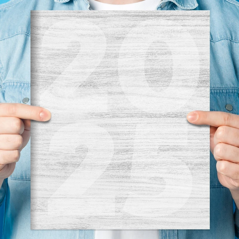 TF Publishing 2025 Driftwood Large Monthly Planner