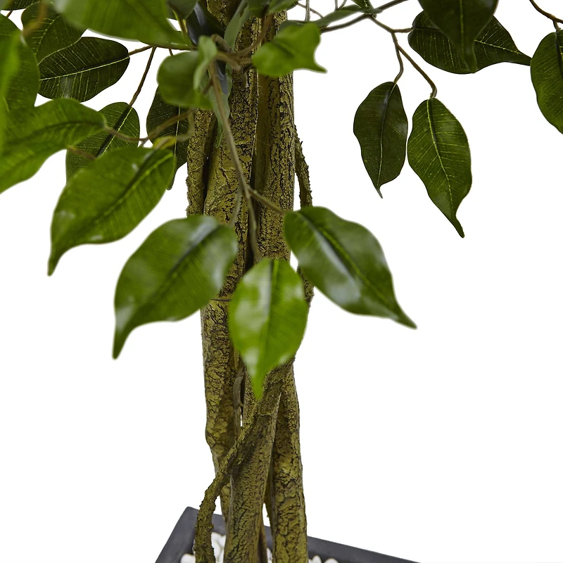 6.5ft. UV Resistant Ficus Artificial Tree in Slate Planter
