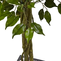 6.5ft. UV Resistant Ficus Artificial Tree in Slate Planter