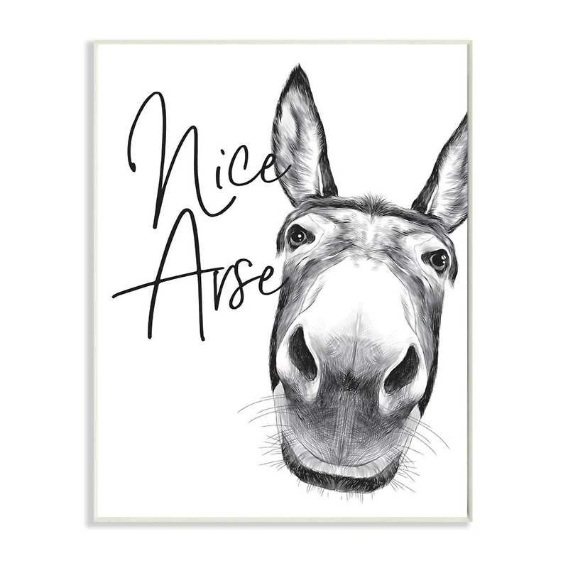 Stupell Industries Nice Arse Donkey Bathroom Wall Plaque