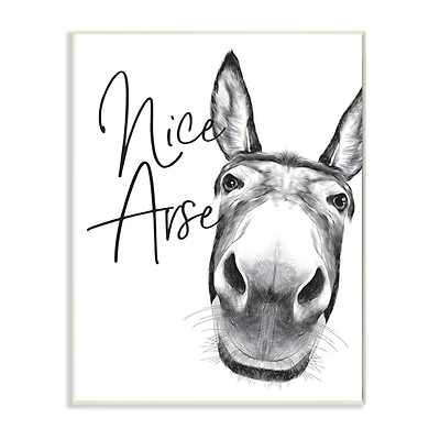 Stupell Industries Nice Arse Donkey Bathroom Wall Plaque