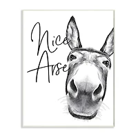 Stupell Industries Nice Arse Donkey Bathroom Wall Plaque