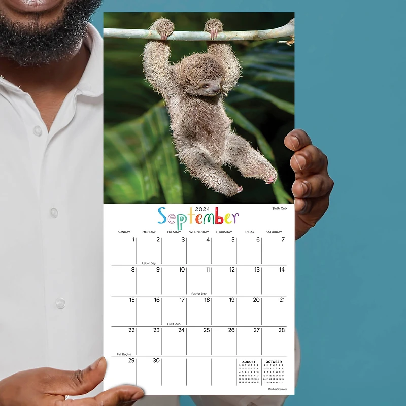 TF Publishing Baby Animals Mini Calendar