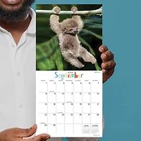 TF Publishing Baby Animals Mini Calendar