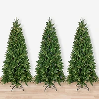 7.5ft. Pre-Lit Washington Frasier Fir Artificial Christmas Tree, Dual Color LED Lights