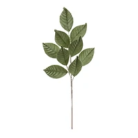 Green Magnolia Leaf Sprays, 6ct.
