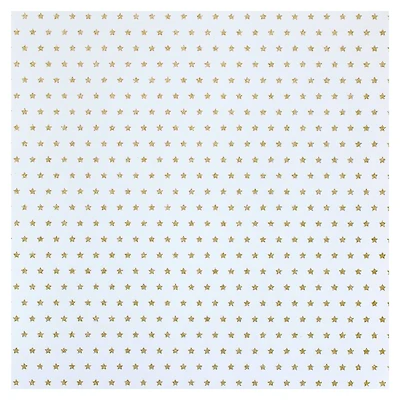 Gold Star Cardstock Paper by Recollections™, 12" x 12"