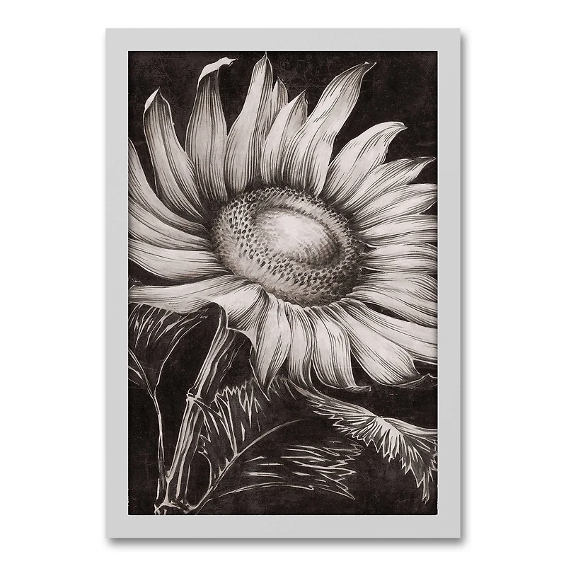 Sketched Sunflower White Framed Canvas