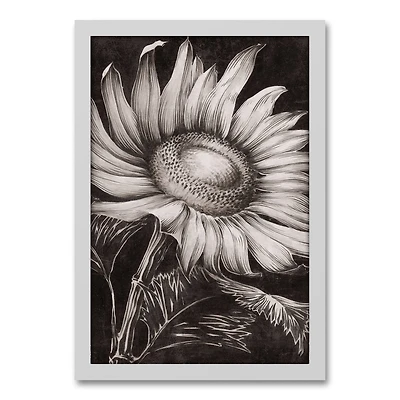 Sketched Sunflower White Framed Canvas