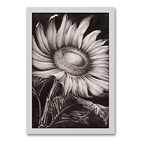 Sketched Sunflower White Framed Canvas