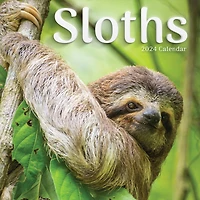 TF Publishing 2024 Sloths Wall Calendar