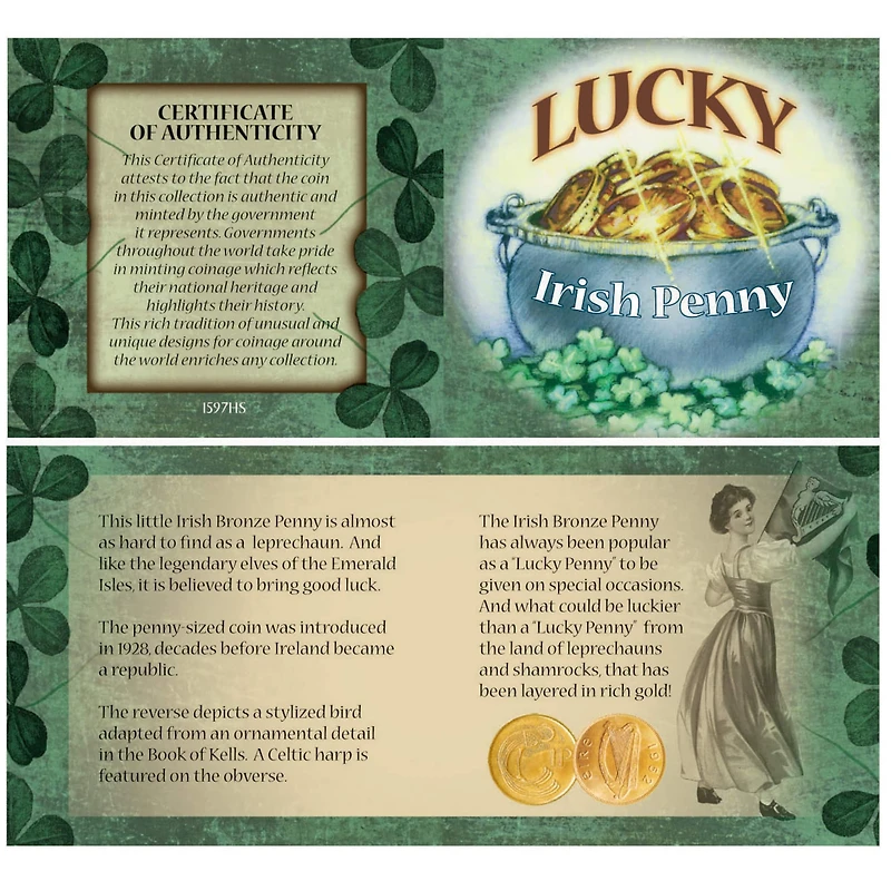 Bankers Bag of Lucky Irish Pennies