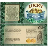 Bankers Bag of Lucky Irish Pennies