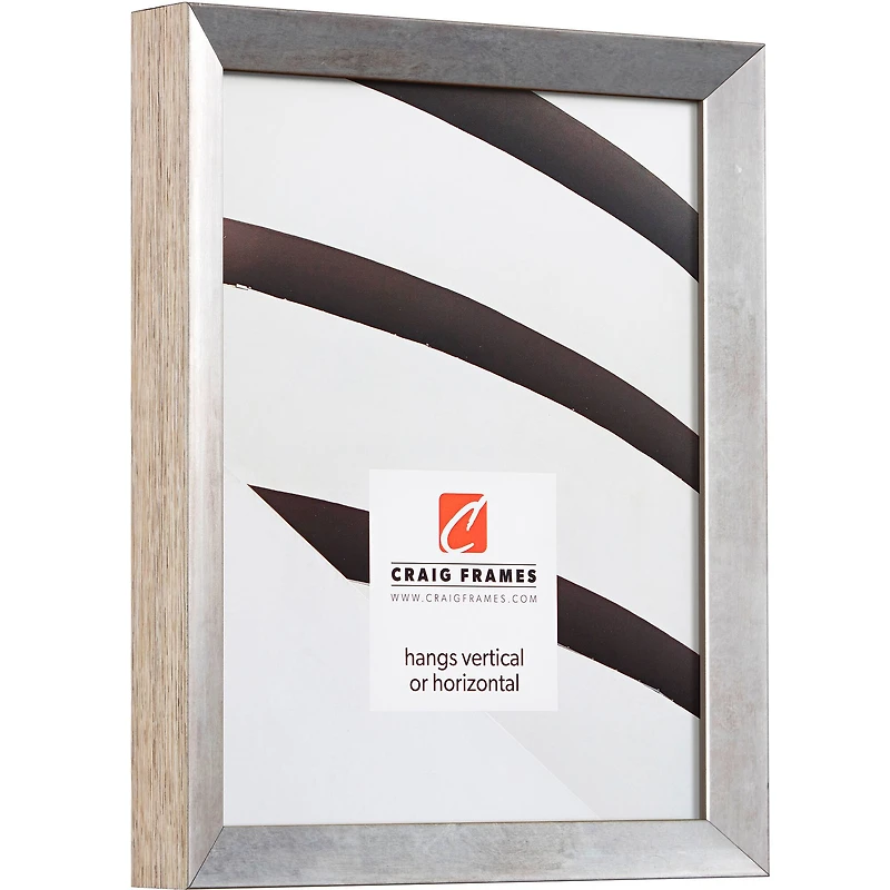 Craig Frames Alloy Nickel Picture Frame