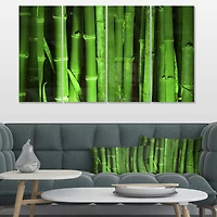 Designart - Green Bamboo Forest