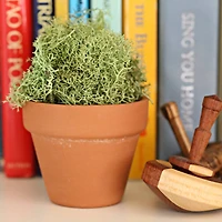 180 Pack: 2" Clay Pot by Ashland®