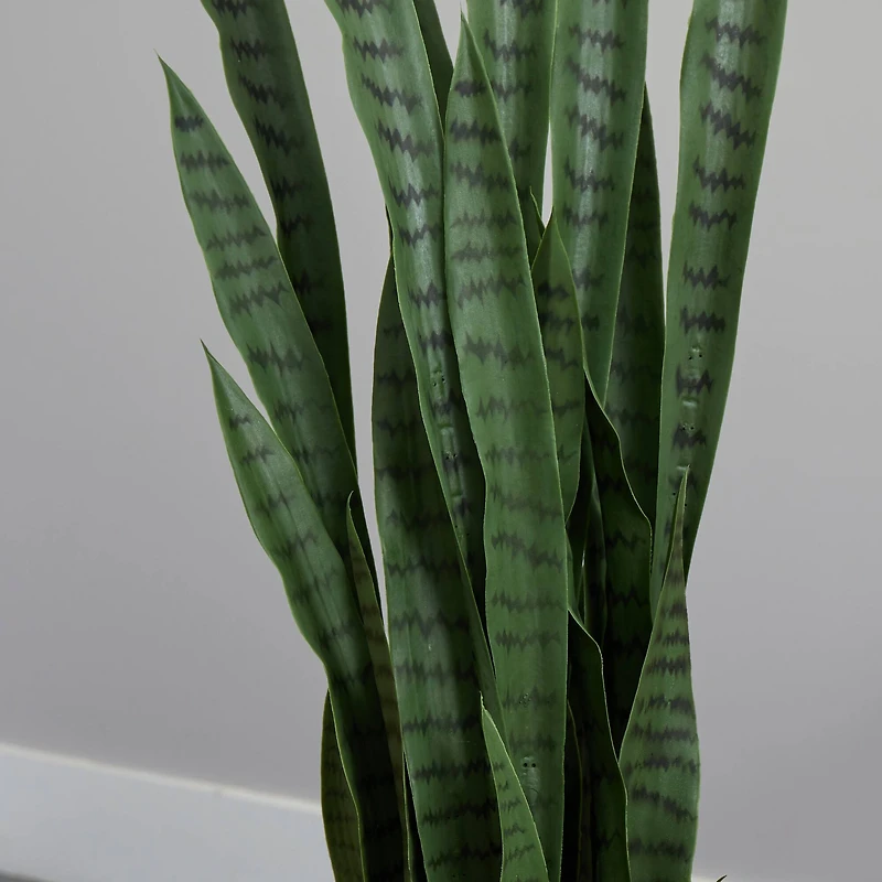4.5ft. Snake Plant in Decorative Black Planter