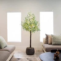5ft. Pre-Lit Artificial Olive Tree with Warm White LED Lights