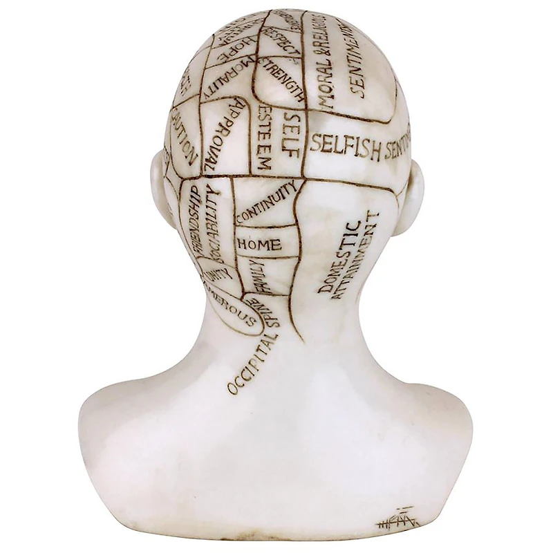 Design Toscano 6" Phrenology the Science of the Brain Victorian Replica Statue