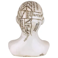 Design Toscano 6" Phrenology the Science of the Brain Victorian Replica Statue