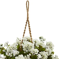 19" Geranium in Hanging Basket