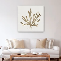 Metallic Coral I Canvas Giclee