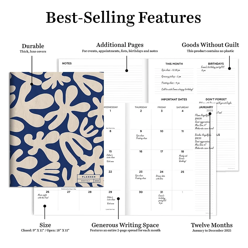 TF Publishing 2025 Wacky & Wavy Large Monthly Planner