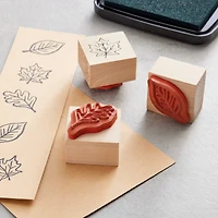 Fall Leaf Stamp Set by Recollections™