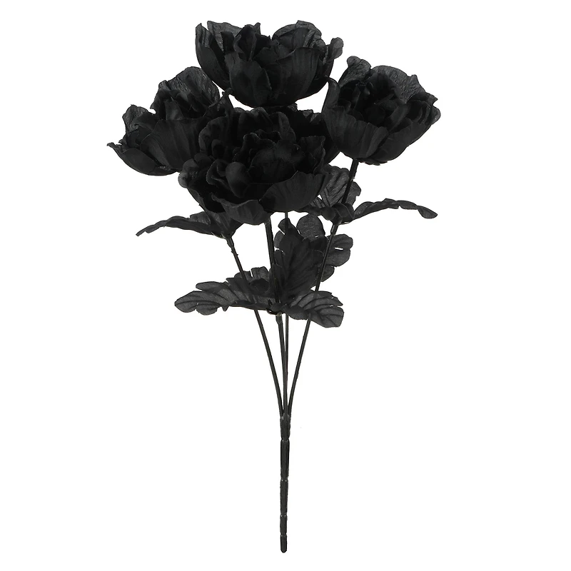 Halloween Peony Bush by Ashland