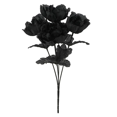 Halloween Peony Bush by Ashland