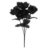 Halloween Peony Bush by Ashland