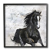 Stupell Industries Wild Black Horse Galloping over Abstract White Black Framed Wall Art